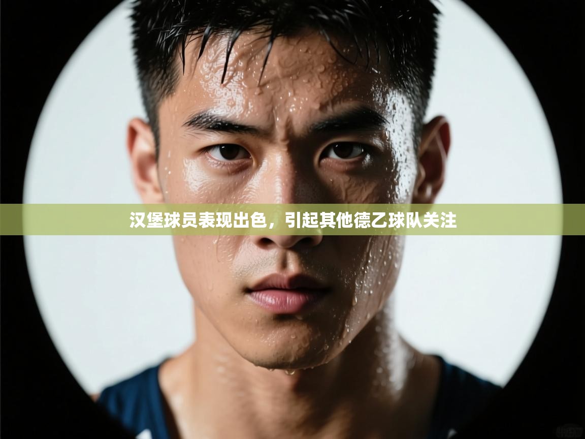 汉堡球员表现出色,引起其他德乙球队关注 第2张