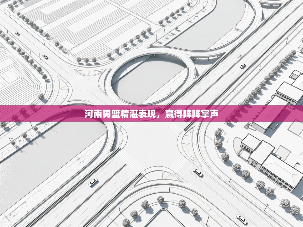 河南男篮精湛表现，赢得阵阵掌声  第2张