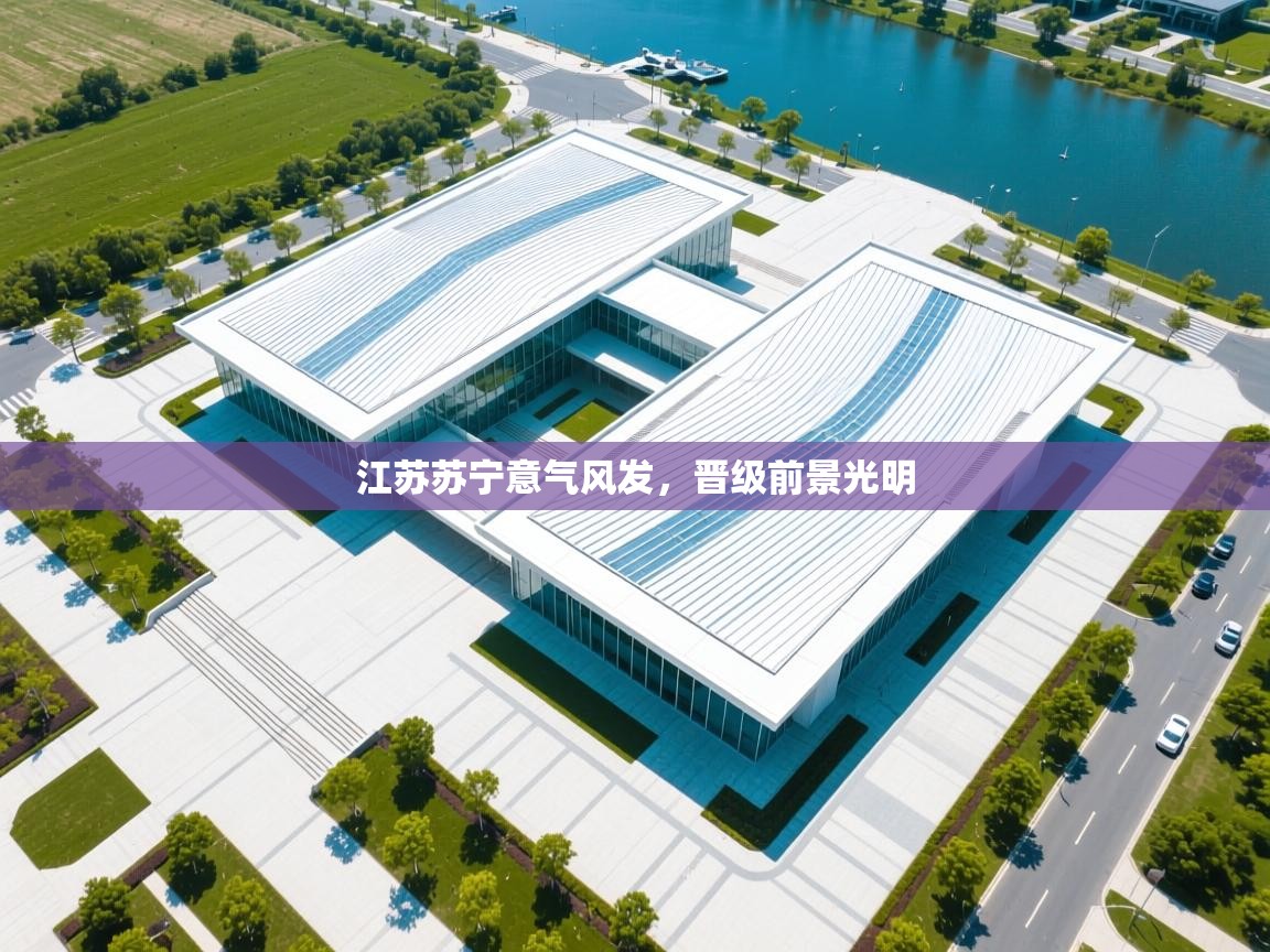 江苏苏宁意气风发,晋级前景光明 第1张