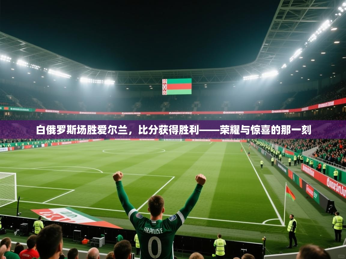 白俄罗斯场胜爱尔兰,比分获得胜利——荣耀与惊喜的那一刻 第2张