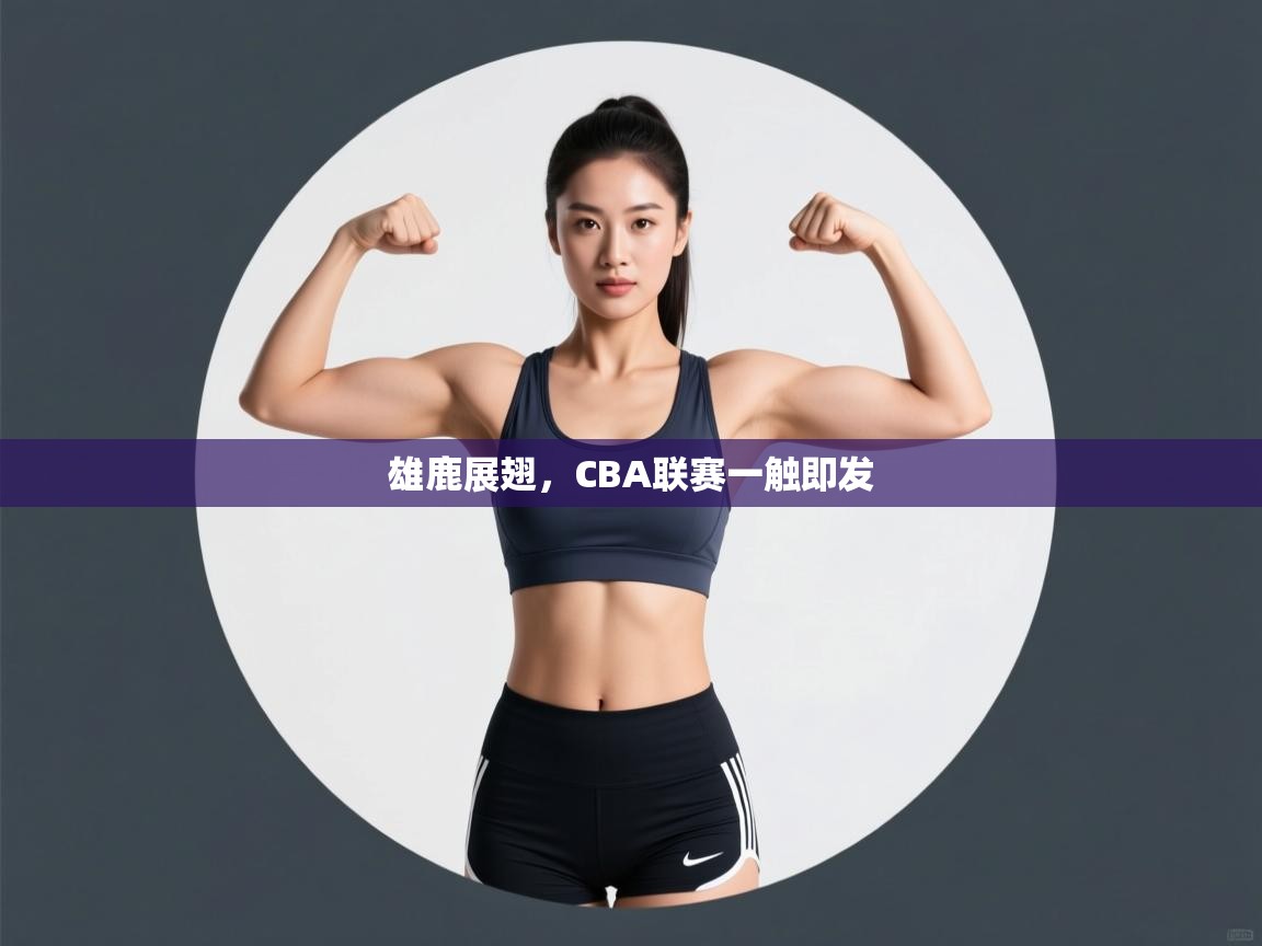 雄鹿展翅，CBA联赛一触即发  第1张